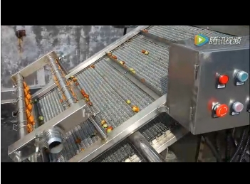 臨安市超越食品大棗清洗拋（pāo）光風幹線