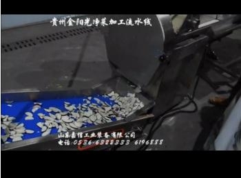貴州金陽光淨菜加工流水線