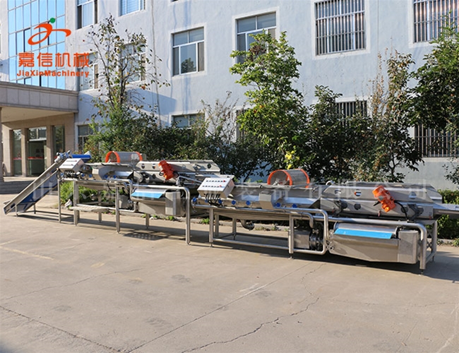 紅棗分（fèn）級清洗拋光瀝水烘幹流水線