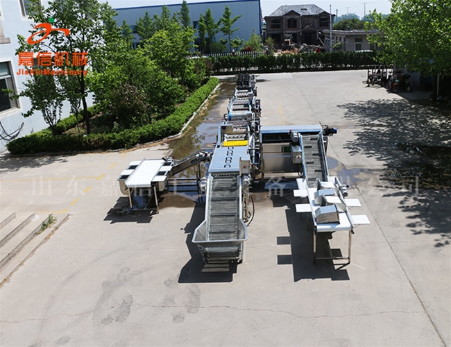 供應生產 生（shēng）薑清洗烘幹流水線 中藥材清洗烘幹流水線