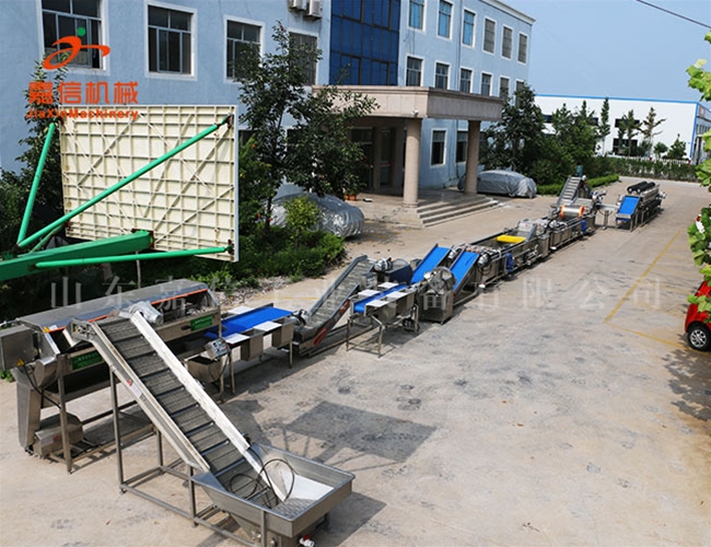 清(qīng)洗\消毒\風幹流水線(淨菜\胡蘿卜\土豆\棗類)