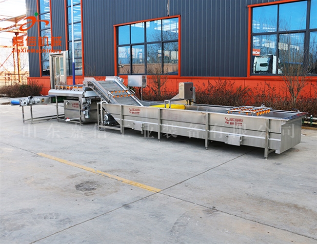 辣椒清（qīng）洗脫（tuō）水流水線