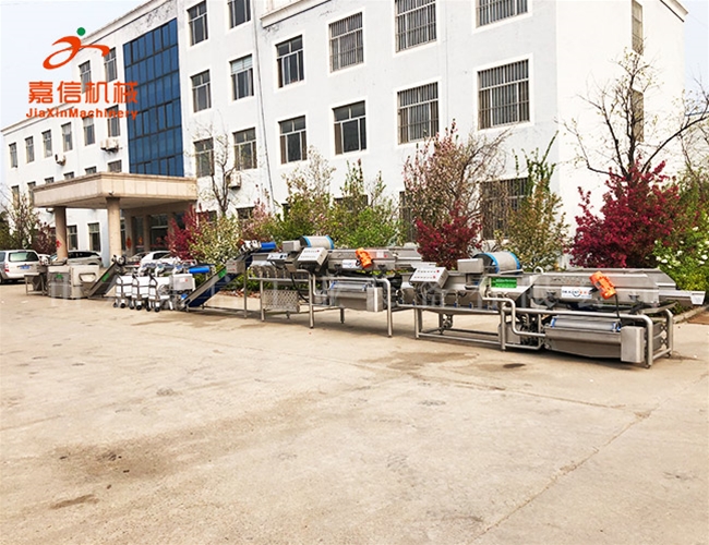 根莖清洗機（jī）